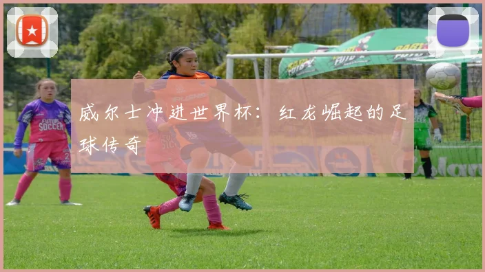 威尔士冲进世界杯:红龙崛起的足球传奇