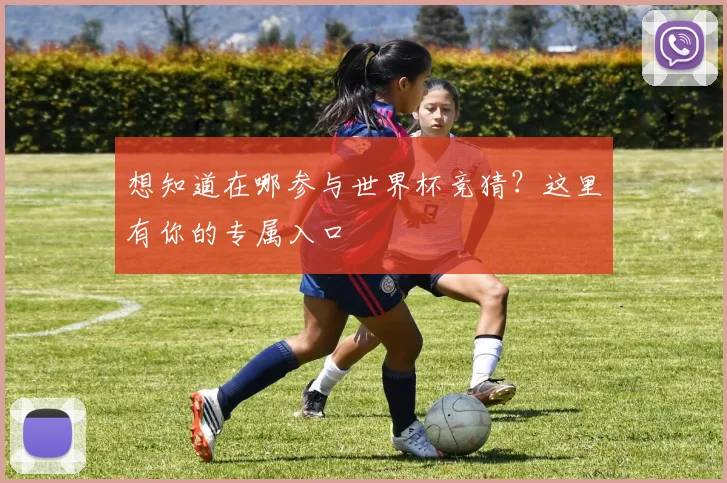 想知道在哪参与世界杯竞猜？这里有你的专属入口