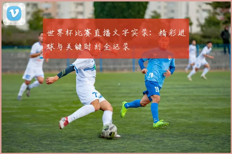 世界杯比赛直播文字实录：精彩进球与关键时刻全记录