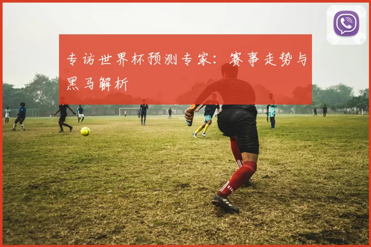 专访世界杯预测专家：赛事走势与黑马解析