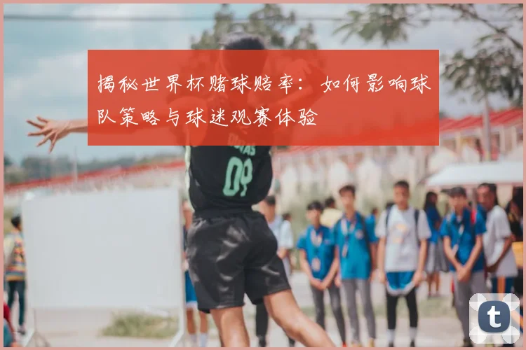 揭秘世界杯赌球赔率：如何影响球队策略与球迷观赛体验